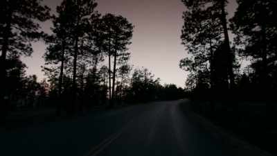 But he certainly would know
things are going to change. - The Co-Ed Killer: Mind of a Monster