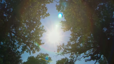 'But closer to the equator, - A Year on Planet Earth