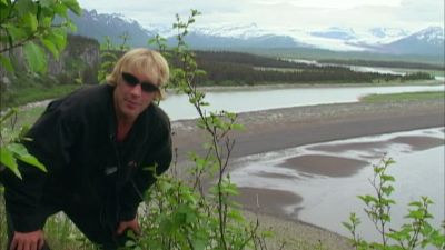 But they come here to Alaska - Grizzly Man
