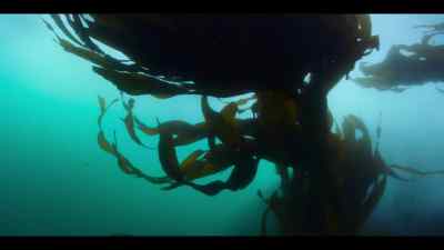 But conditions in the South Atlantic
are unpredictable, - Our Oceans