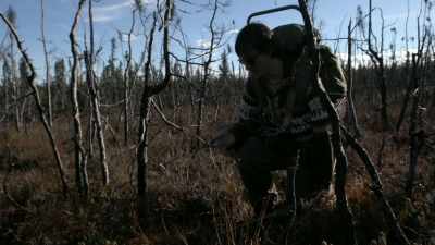 But it created just
the right conditions
for these blueberries. - Life Below Zero: Next Generation