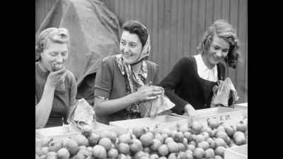 But despite their best efforts, shortages were inevitable. - The Buildings That Fought Hitler