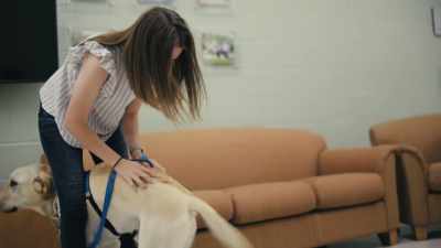 But do they actually love us? - Inside the Mind of a Dog