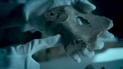 But we do have the greater sciatic notch
and that is actually quite wide, - Viking Warrior Women