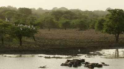 But do we take
these many wonders for granted? - When Nature Calls with Helen Mirren