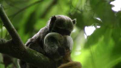 But do we take
these many wonders for granted? - When Nature Calls with Helen Mirren