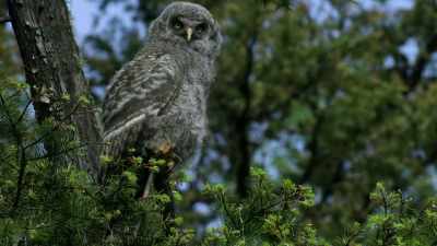 But do we take
these many wonders for granted? - When Nature Calls with Helen Mirren