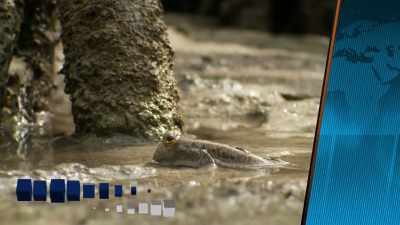 But do we take
these many wonders for granted? - When Nature Calls with Helen Mirren