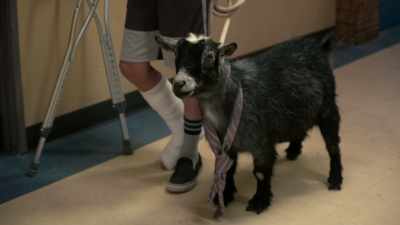 But do what goats do
and get me expelled - Life by Ella
