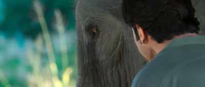 But you don't have an email, do you? - Junglee
