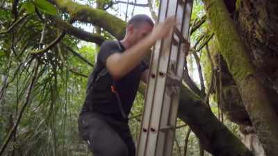 BUT EMERGING
FROM THE RAINFOREST TODAY - Lost Cities of the Amazon