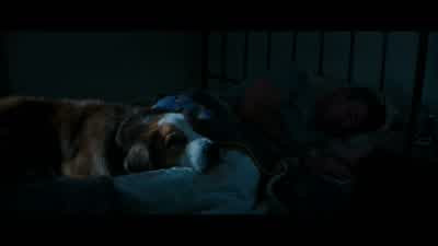 But Ethan still seemed sad. - A Dog's Purpose