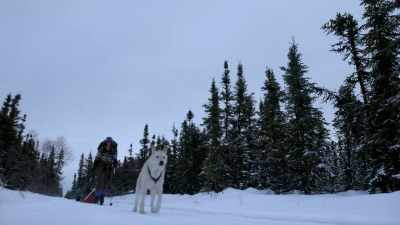 But even if I'm
cold and miserable, - Life Below Zero: Next Generation