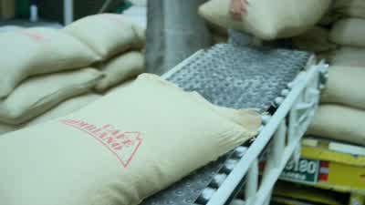 But even that didn't do it. - Narcos
