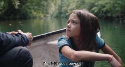 But faith goes beyond - 20,000 Species of Bees