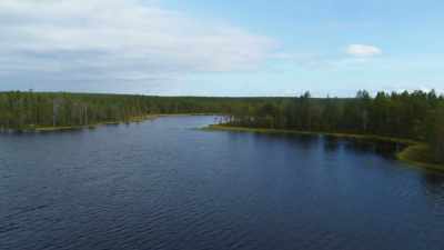 But farther south, - Wild Nordic