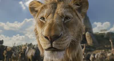 But Father? - Mufasa: The Lion King