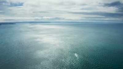 But finding the pod in this vast
territory was not going to be easy. - Wild Isles