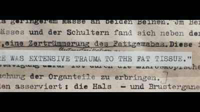 But when Flamm does the autopsy, - Rise of the Nazis