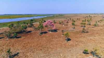 BUT FLOWING THROUGH
THIS ARID LAND ARE RIVERS - Lost Cities of the Amazon