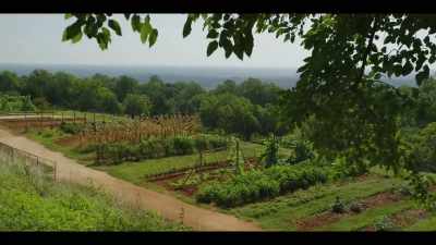 But this founding father and foodie - The History of Home Narrated by Nick Offerman