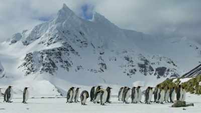 But getting back there - Frozen Planet II
