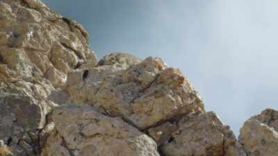 But getting more
than a brief glimpse - Ghost of the Mountains
