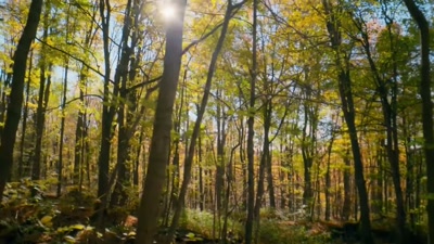 'But going into winter
with an empty larder could be fatal. - A Year on Planet Earth