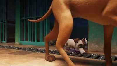 But if going out is so easy, why don't you just walk away? - The Queen's Corgi