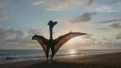 But for Hatzegopteryx,
the beach is a launching pad. - Prehistoric Planet