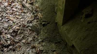 But when he began digging
to search for clues, - Secret Nazi Ruins