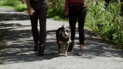 But here, it's perfect.
There aren't any people - The Dog Lover's Guide to Dating