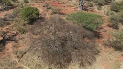 But here, people have come
up with an ingenious way to reverse - The Green Planet