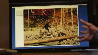 But here's what we know, - Expedition Bigfoot