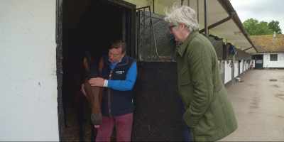 But he's just a nice youngster, - Quintessentially British
