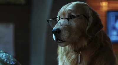 But how could he possibly be reaching
virtually every cat and dog on the planet? - Cats & Dogs 3: Paws Unite