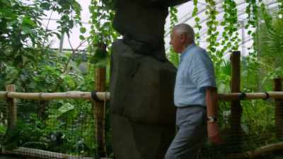 But how did other ichthyosaurs
catch their prey? - Attenborough and the Sea Dragon