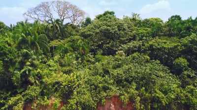 BUT HOW DID THEY MAKE THE LEAP
INTO THE HOSTILE FOREST ITSELF - Lost Cities of the Amazon