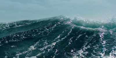 But humpback song...
is even more elaborate. - Fathom