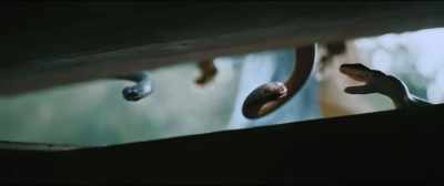 But I believe
that this is a reasonable - Anaconda