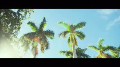 But I didn't know that yet. - War Dogs