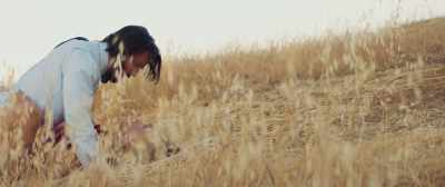 But I don't know why
you'd possibly want a boy, - Destination Wedding