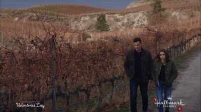 But I guess the silver lining - Valentine in the Vineyard