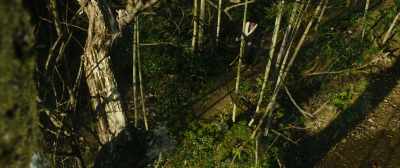 But if I hadn't... - Blade of the Immortal