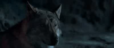 ...but I have to try. - Alpha