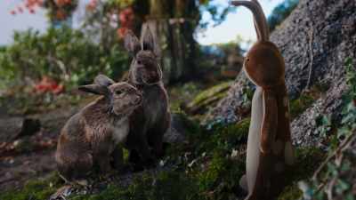 But I just thought-- - The Velveteen Rabbit