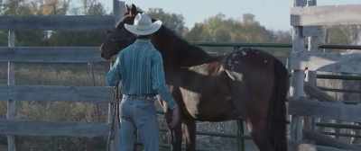 But I learned a lot
by being on their back, - The Rider