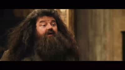 But I really felt that it's such a violent moment... - Harry Potter and the Chamber of Secrets