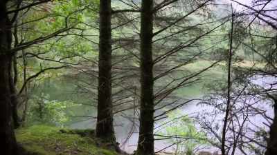 But I see, like an old fashioned
policeman's truncheon, - Spooked Scotland
