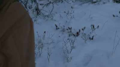 But, I think I might be
able to catch that marten. - Life Below Zero: Next Generation